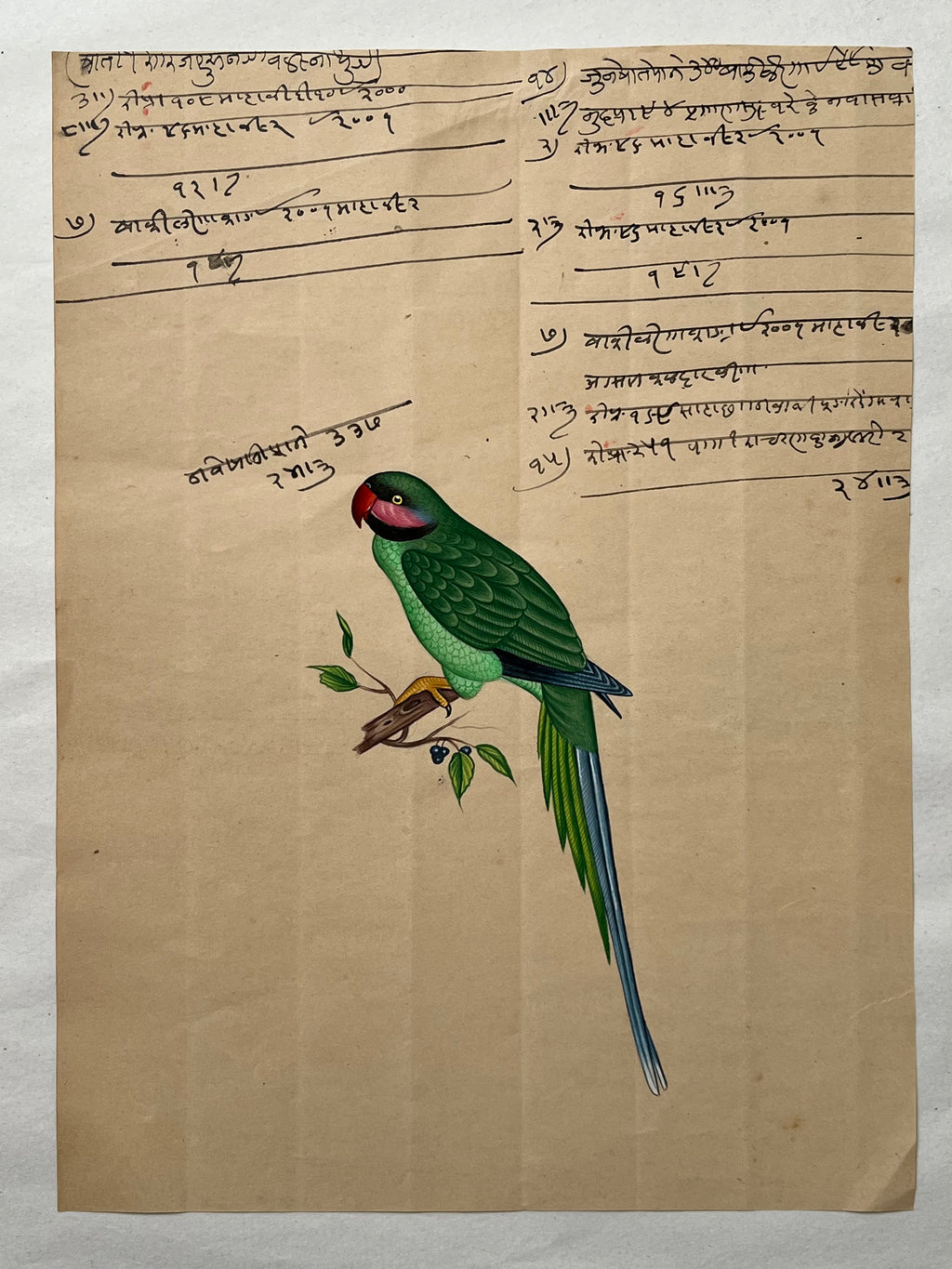 Indian Company School Parakeet Painting, Early 19th Century Watercolour
