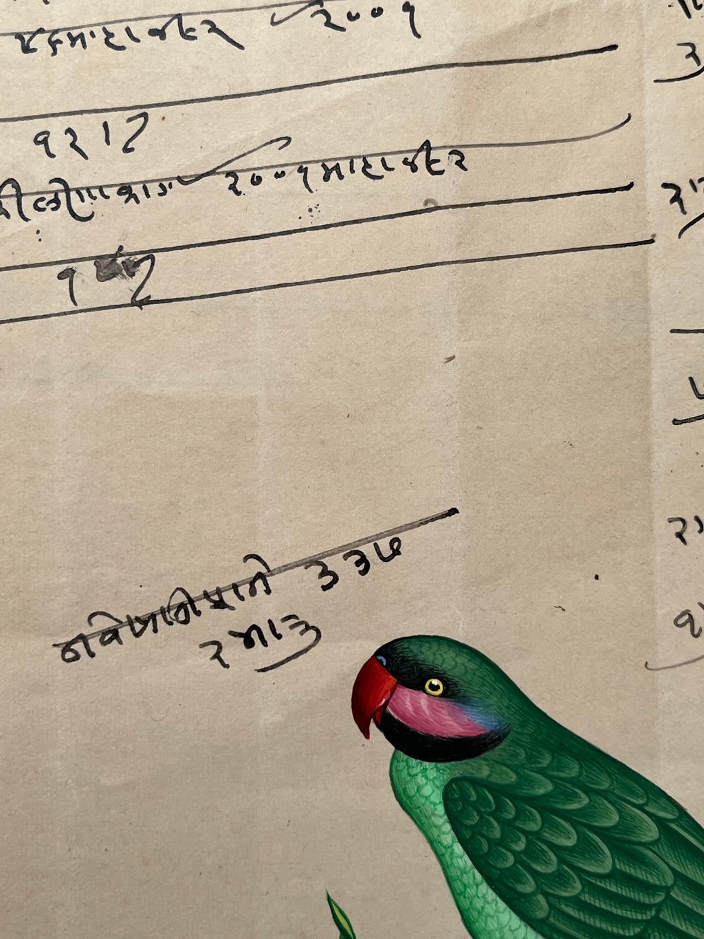 Indian Company School Parakeet Painting, Early 19th Century Watercolour