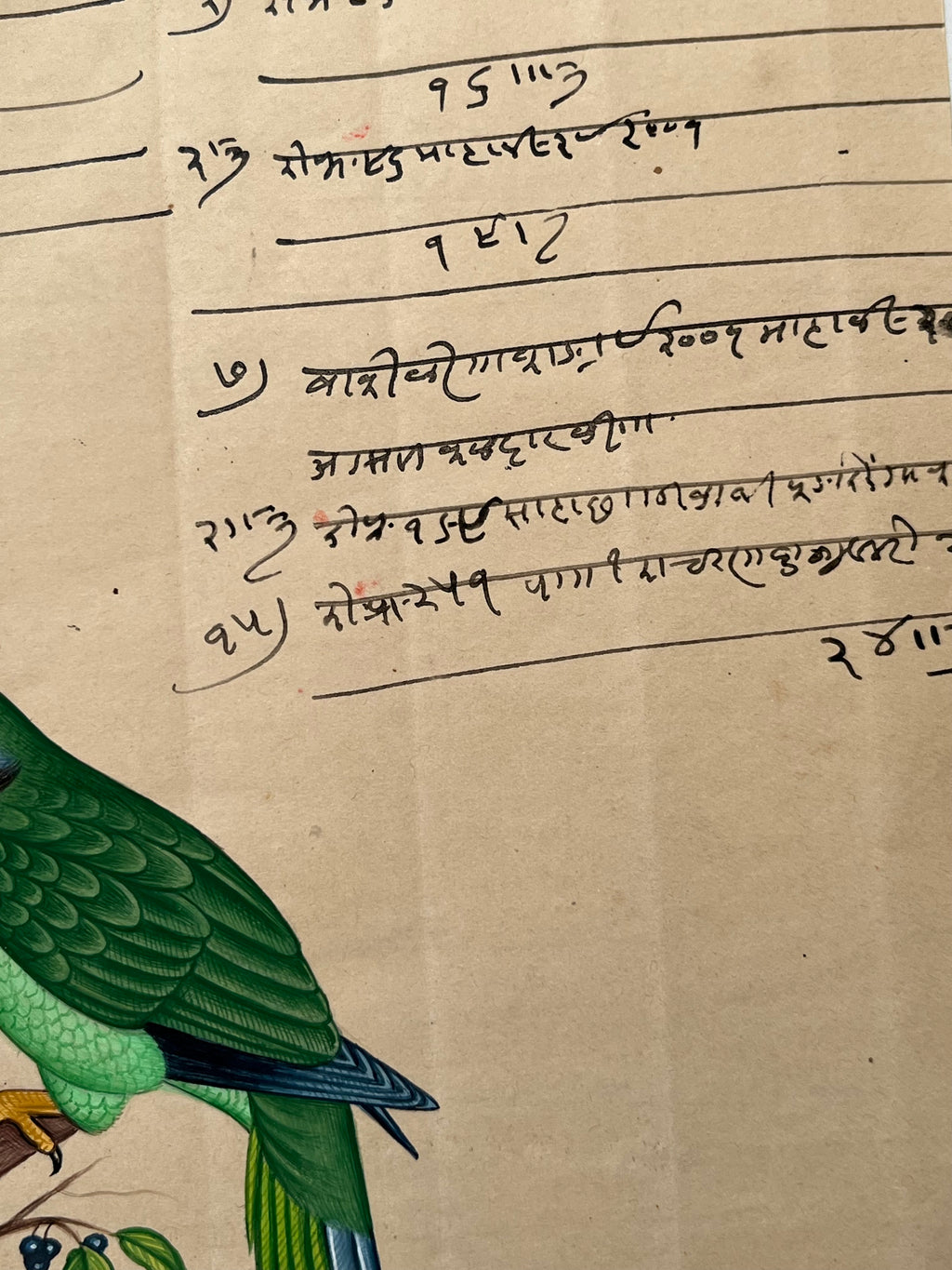 Indian Company School Parakeet Painting, Early 19th Century Watercolour