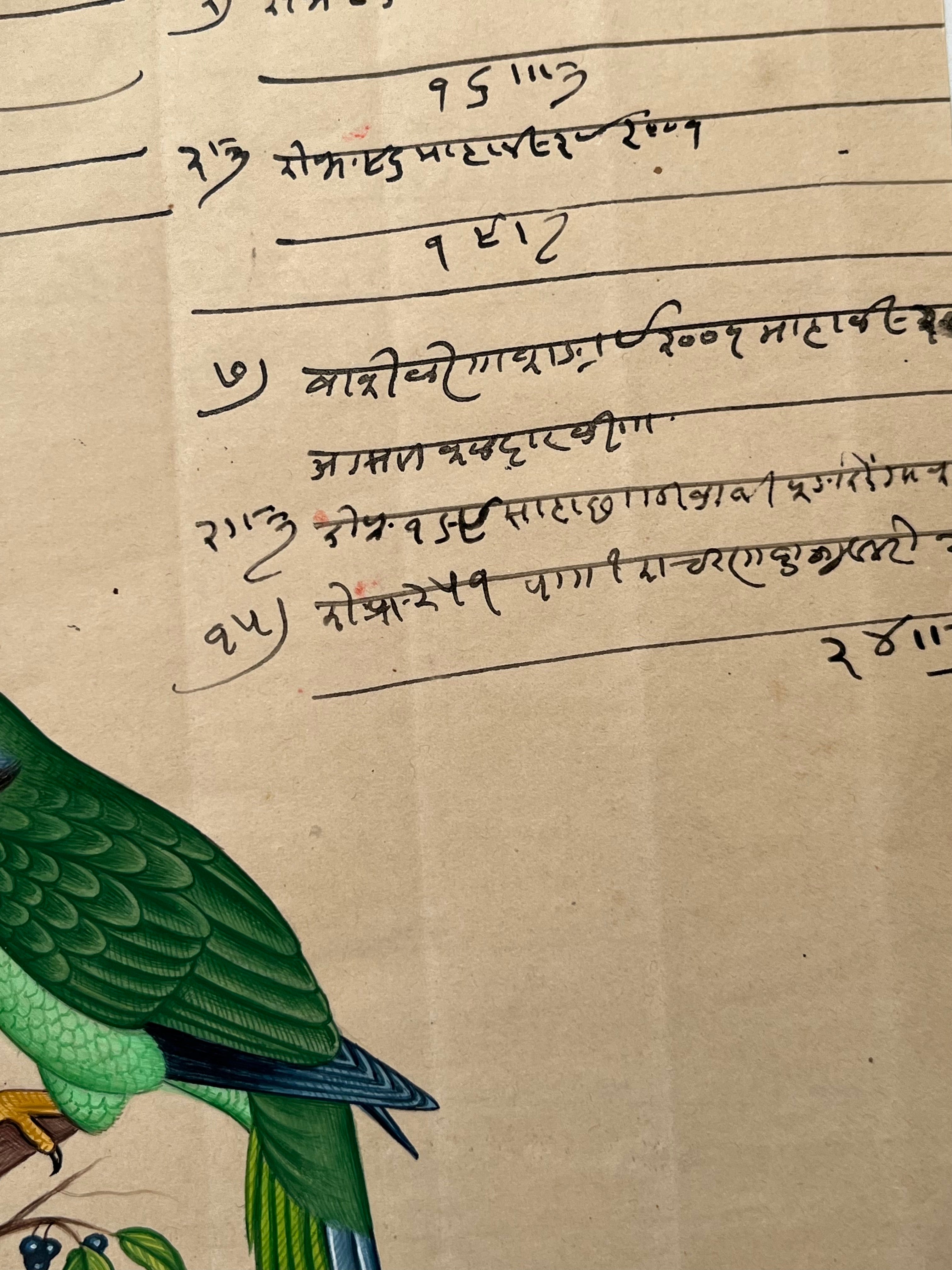 Indian Company School Parakeet Painting, Early 19th Century Watercolour