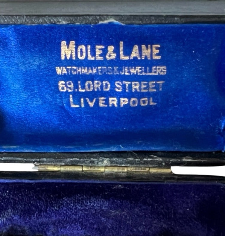 Antique Jewellery Box Mole & Lane Liverpool Leather Case Blue Velvet