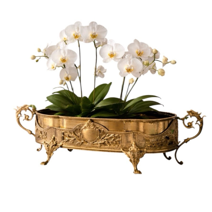Antique French Dragon-Handle Brass Jardinière, Planter, Oval Footed Centrepiece.