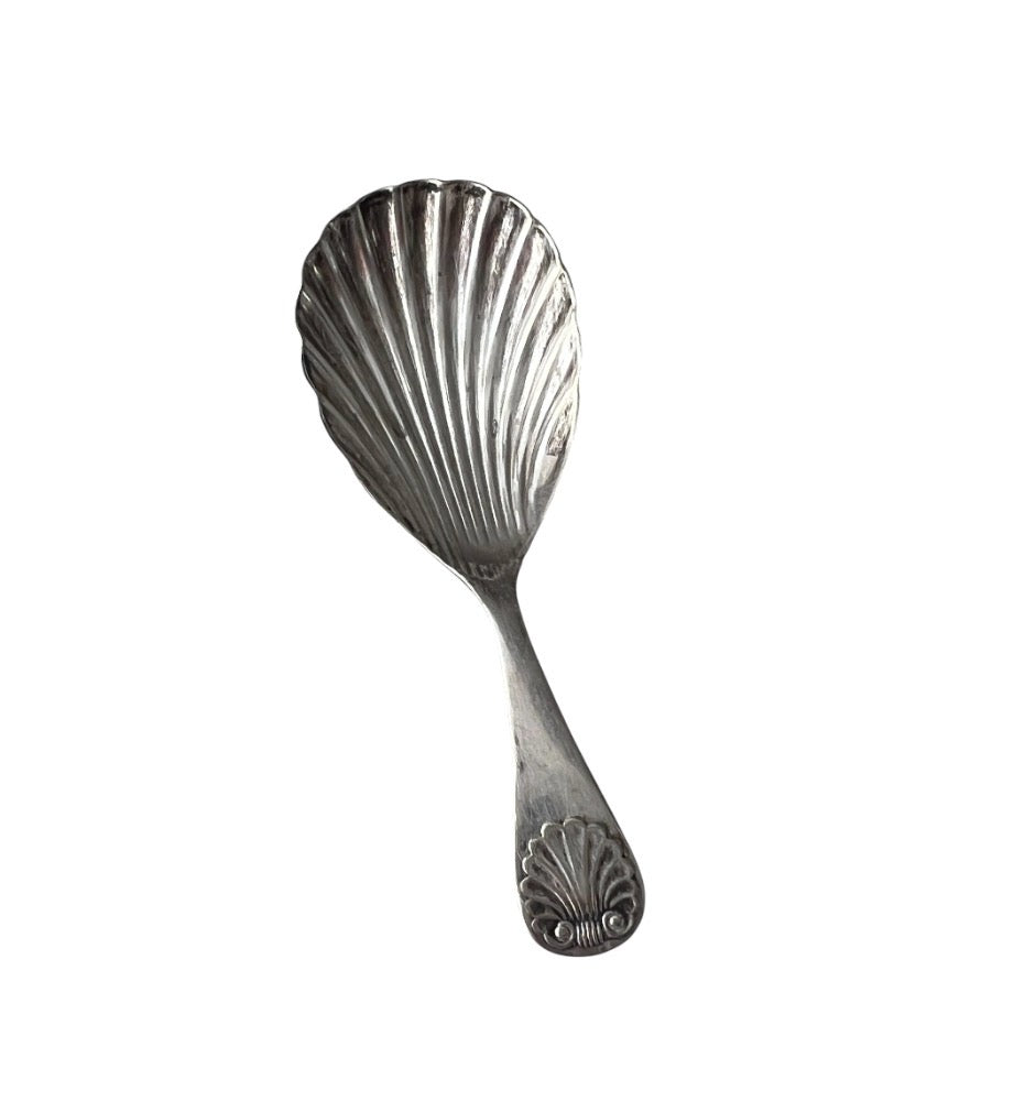 Antique Continental Silver Tea Caddy Spoon with Shell Bowl, Circa 1880–1910