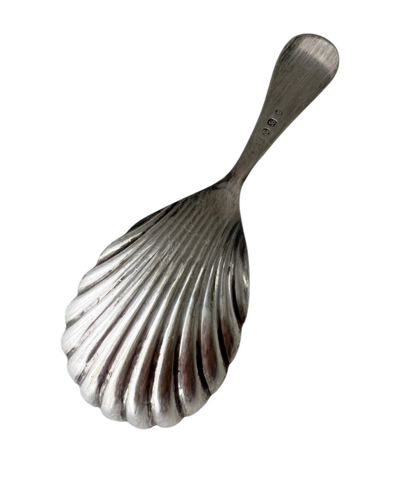 Antique Continental Silver Tea Caddy Spoon with Shell Bowl, Circa 1880–1910