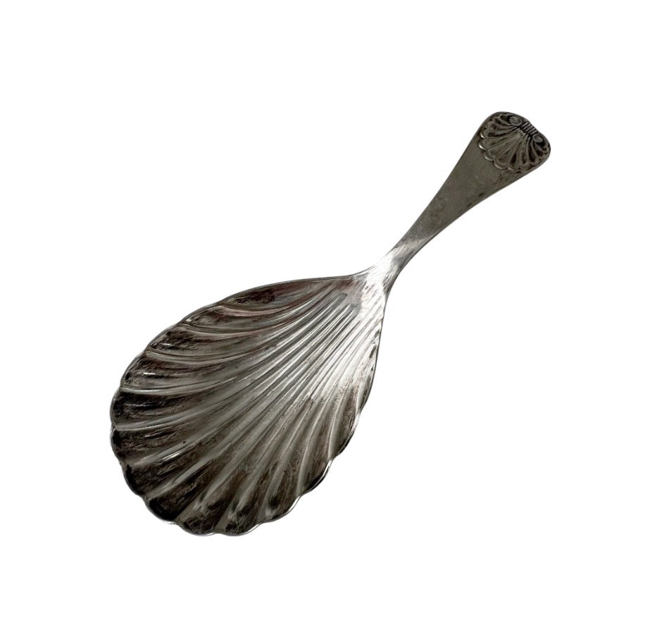 Antique Continental Silver Tea Caddy Spoon with Shell Bowl, Circa 1880–1910