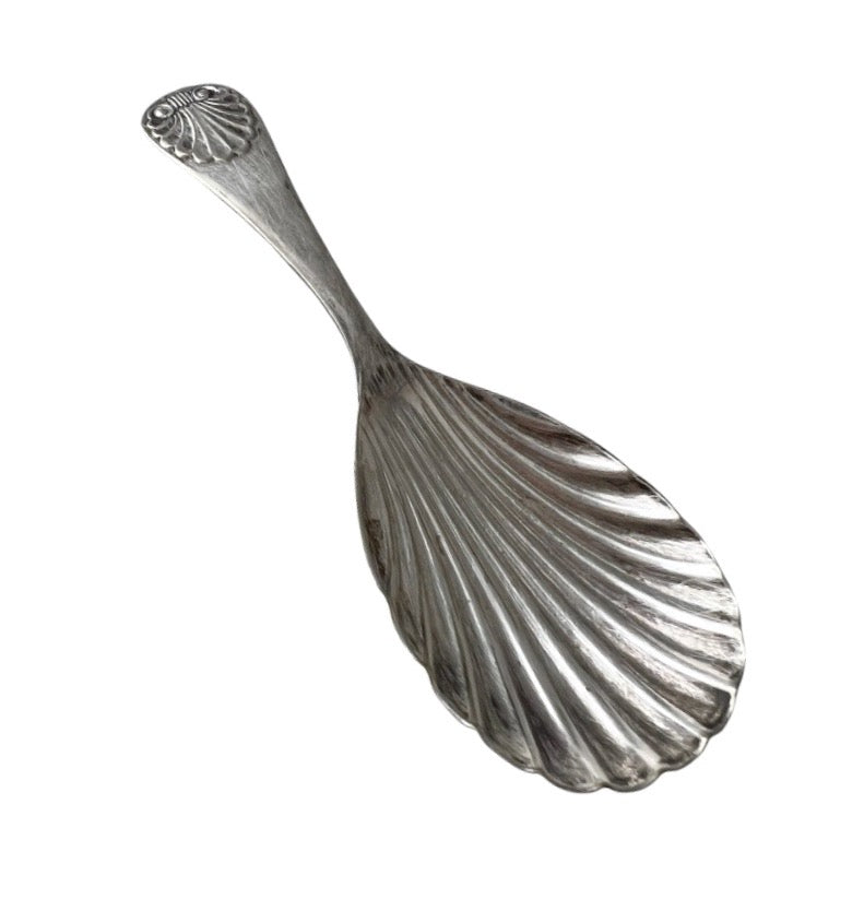 Antique Continental Silver Tea Caddy Spoon with Shell Bowl, Circa 1880–1910