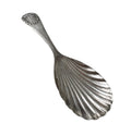 Antique Continental Silver Tea Caddy Spoon with Shell Bowl, Circa 1880–1910