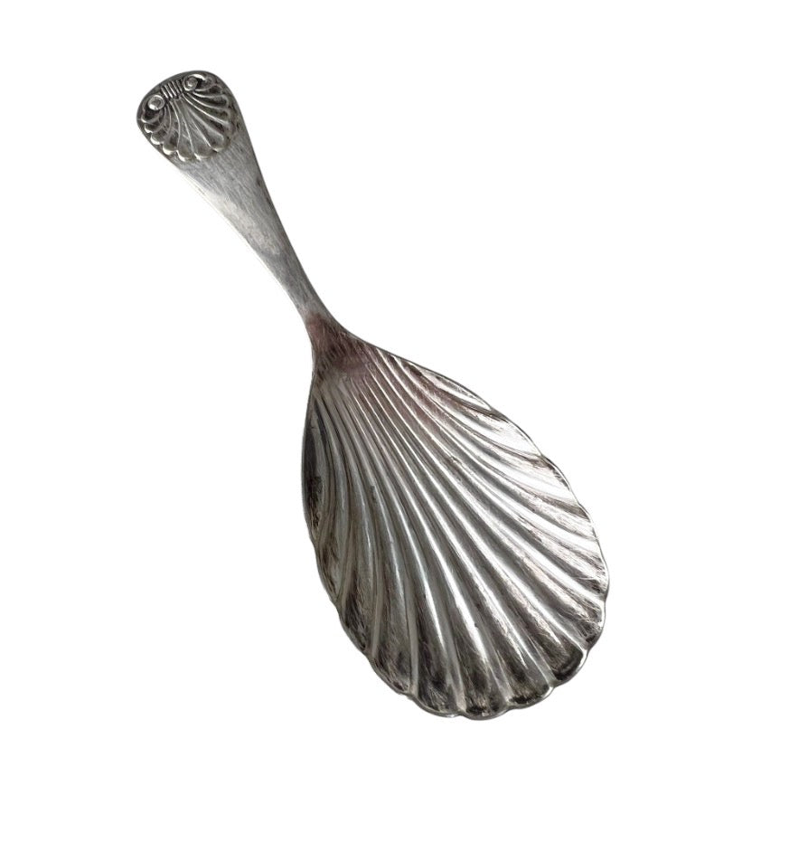 Antique Continental Silver Tea Caddy Spoon with Shell Bowl, Circa 1880–1910