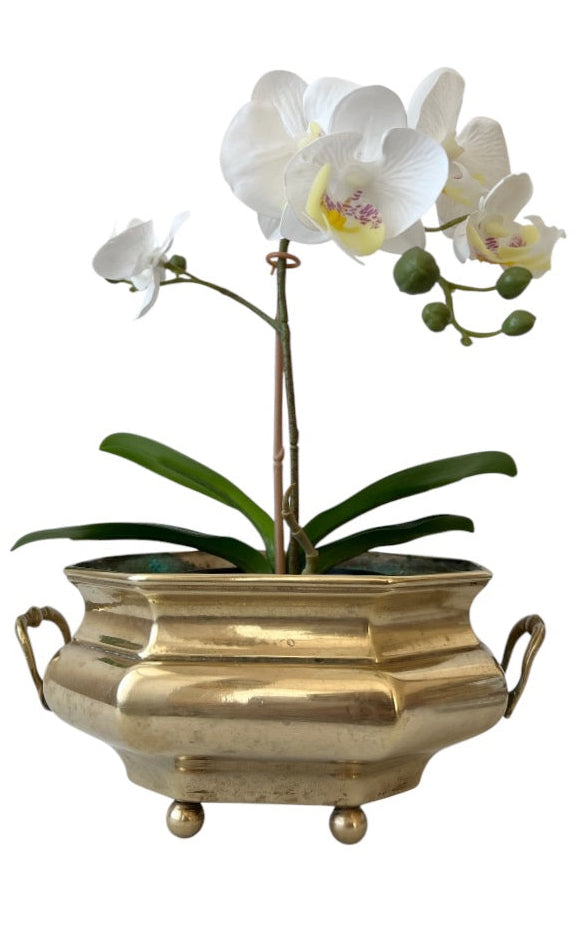 Vintage Brass Jardiniere Planter, Octagonal Cache Pot with Handles and Ball Feet