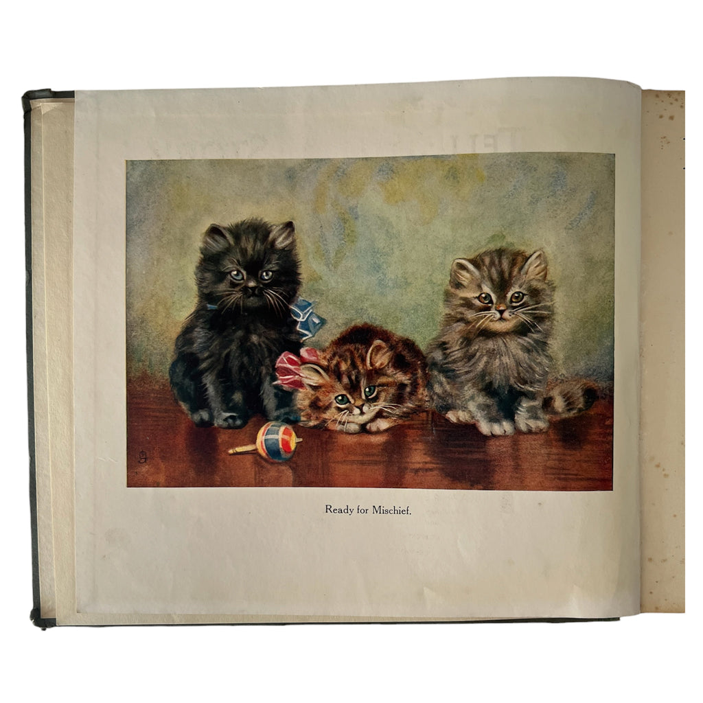 Raphael Tuck I’ll Tell You a Story With Come to Life Panorama, Antique Illustrated Book