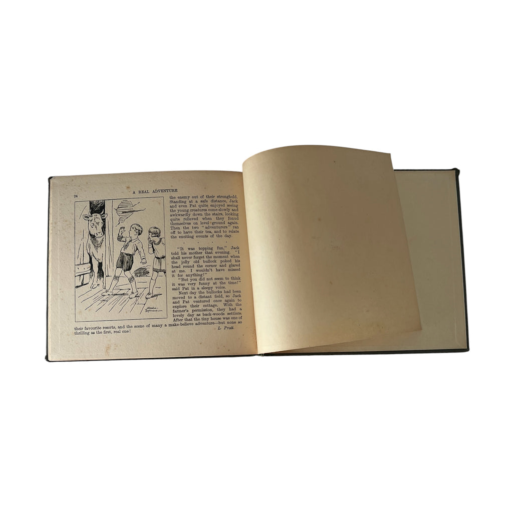Raphael Tuck I’ll Tell You a Story With Come to Life Panorama, Antique Illustrated Book