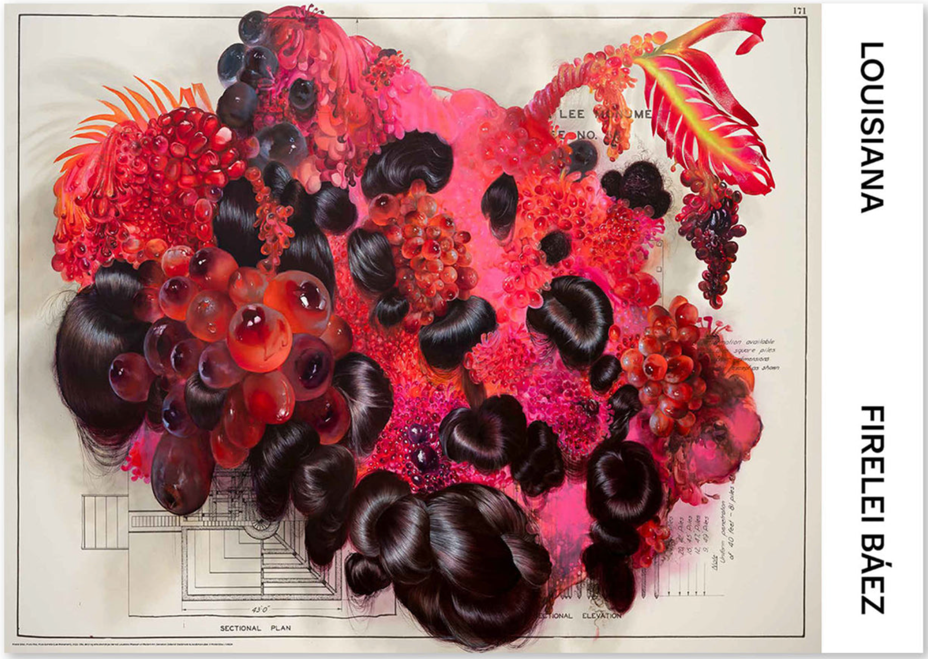 Firelei Baez, Fruta Fina, Original Exhibition Museum Poster
