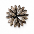 Vintage S. Christian Fogh Sterling Silver Flower Brooch, Danish Denmark Floral Pin