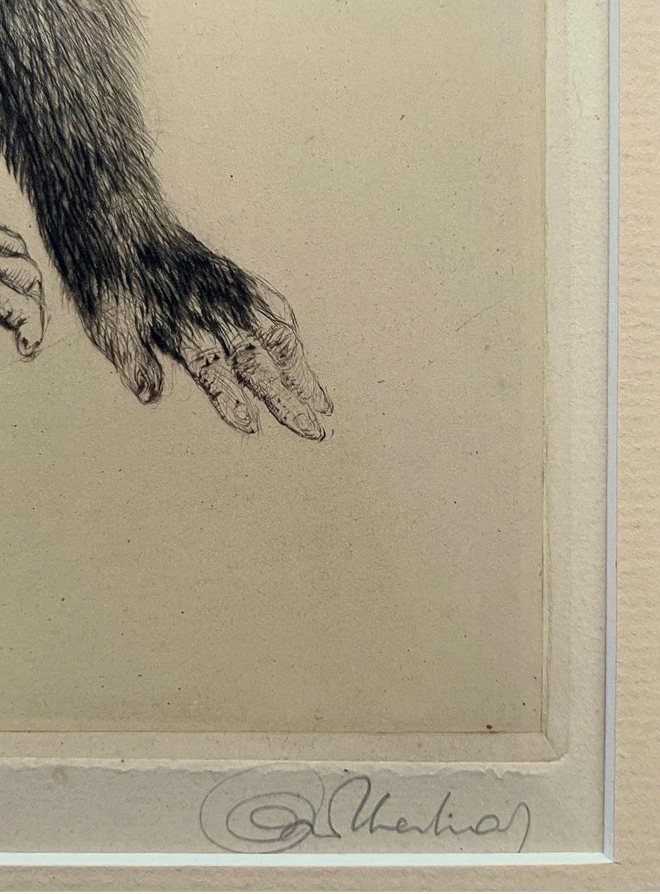 Kurt Meyer-Eberhardt “Äffchen” Original Etching – Framed Monkey Portrait