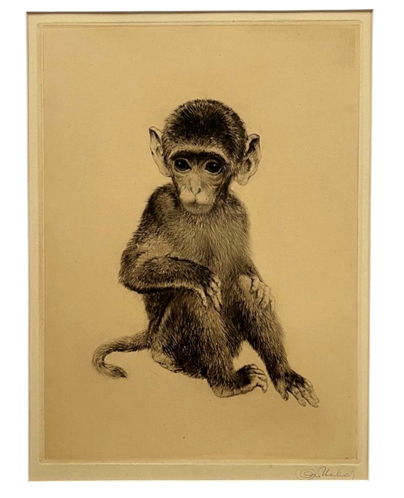 Kurt Meyer-Eberhardt “Äffchen” Original Etching – Framed Monkey Portrait