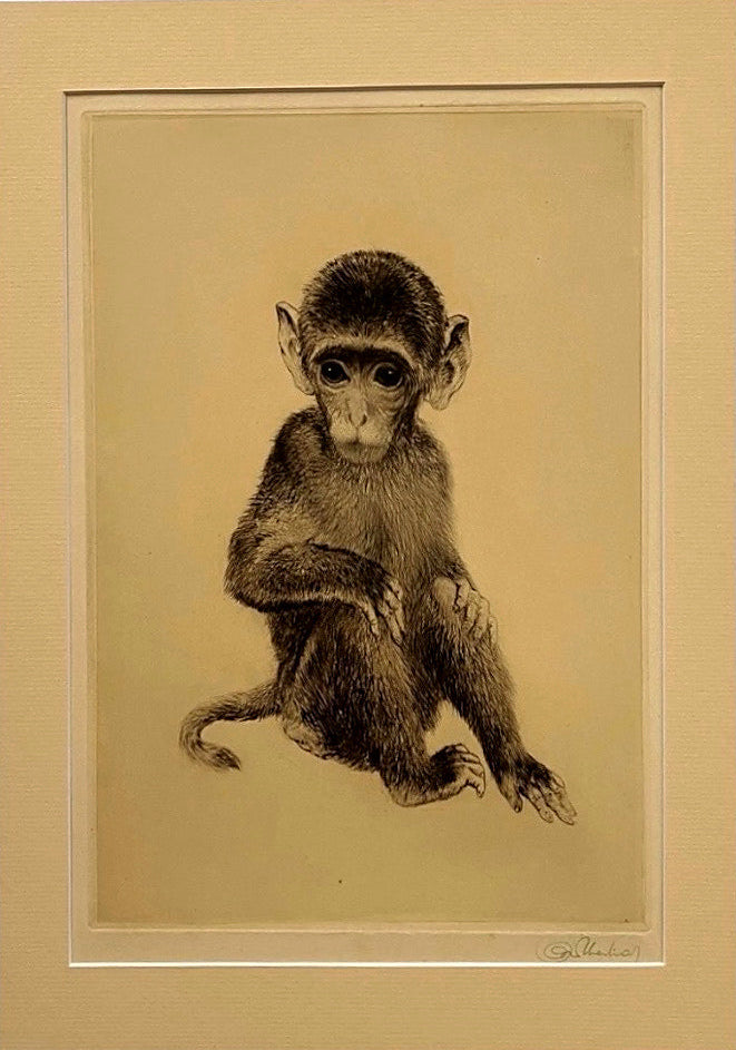 Kurt Meyer-Eberhardt “Äffchen” Original Etching – Framed Monkey Portrait