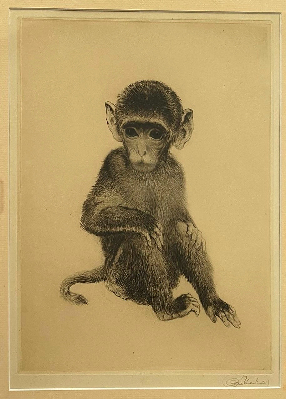 Kurt Meyer-Eberhardt “Äffchen” Original Etching – Framed Monkey Portrait