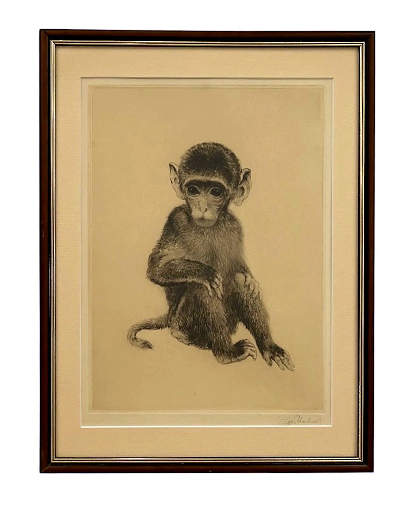 Kurt Meyer-Eberhardt “Äffchen” Original Etching – Framed Monkey Portrait