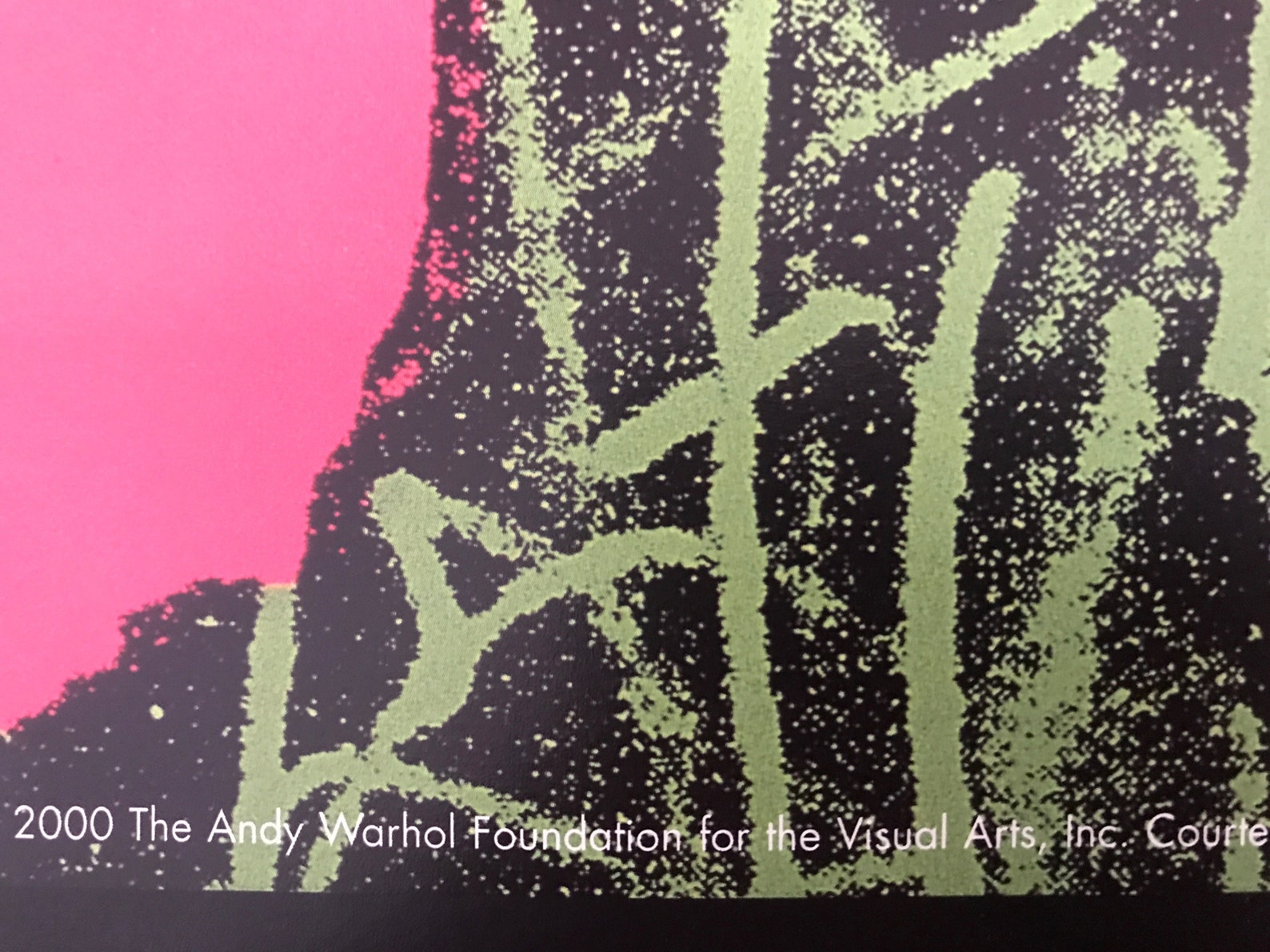 Andy Warhol - "Flowers". Original Museum Exhibition Poster. Framed