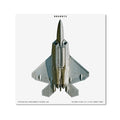 Jeffrey Milstein, Lockheed Martin F-22A Raptor, Original Exhibition Museum Poster