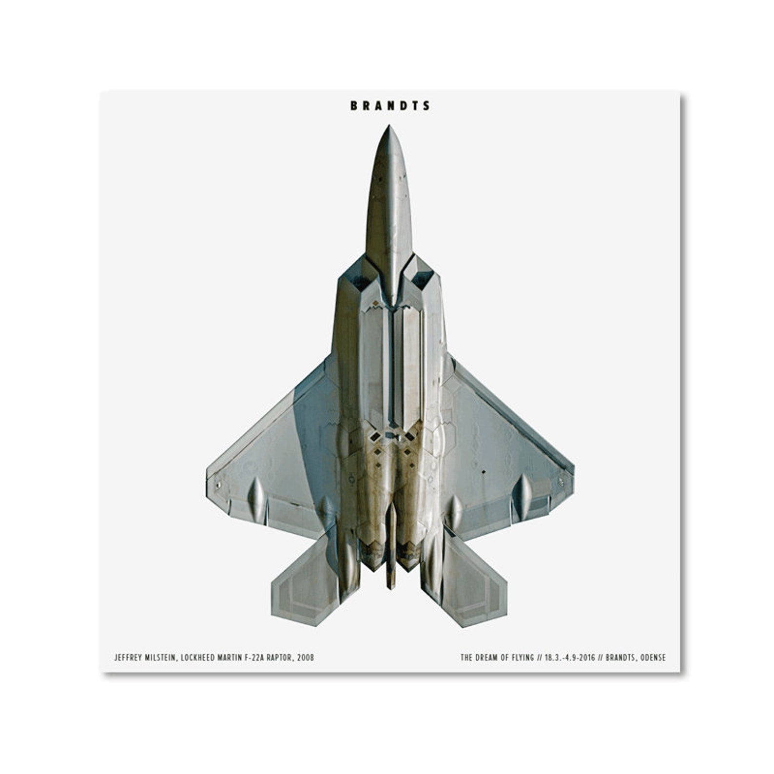 Jeffrey Milstein, Lockheed Martin F-22A Raptor, Original Exhibition Museum Poster