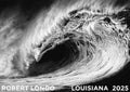Robert Longo - "Helion". Original Exhibition Museum poster.
