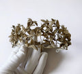Antique Myrtle Leaf Bridal Crown - 1913 German Wedding Tiara