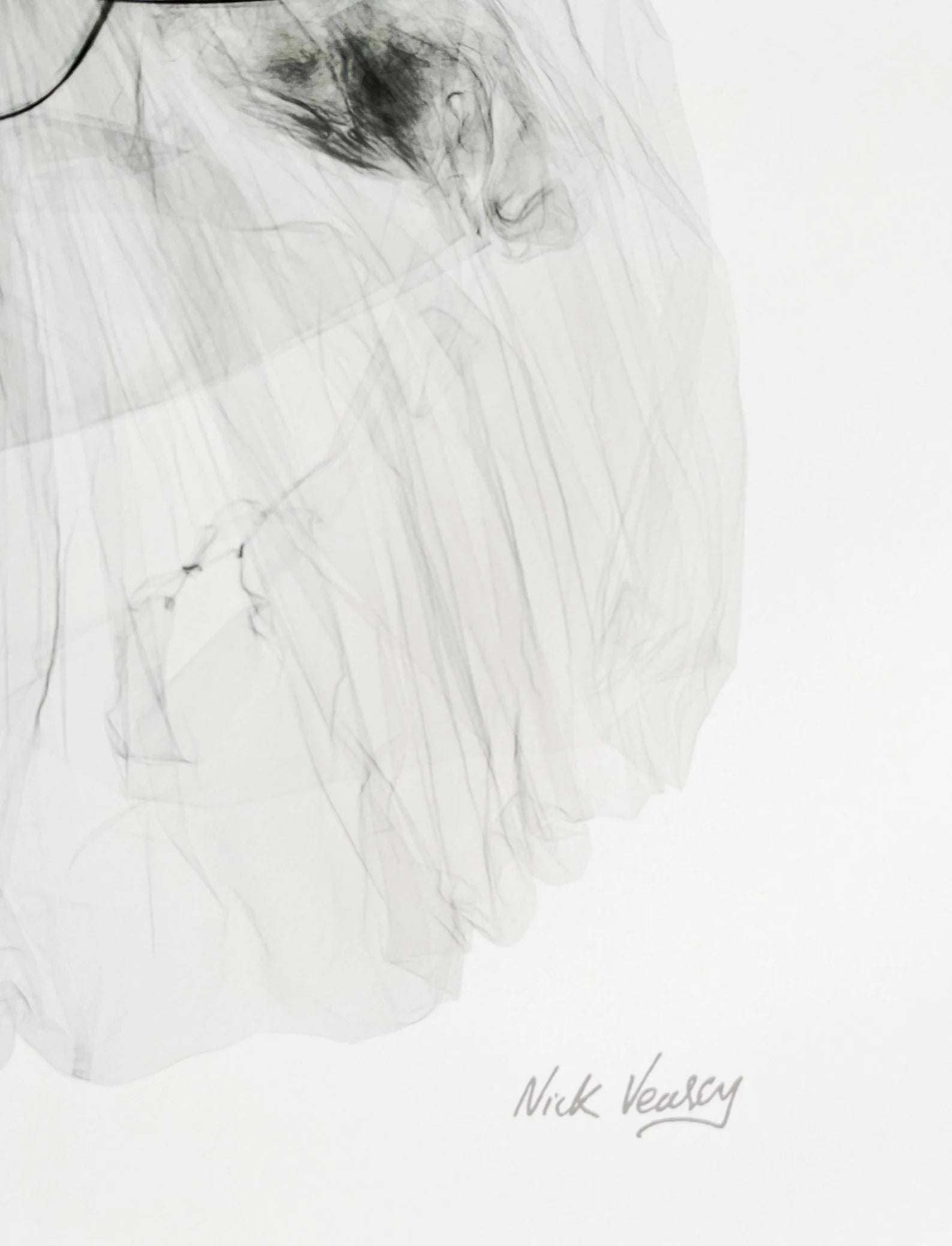 Nick Veasey, Balenciaga Dress X-ray, Original Print